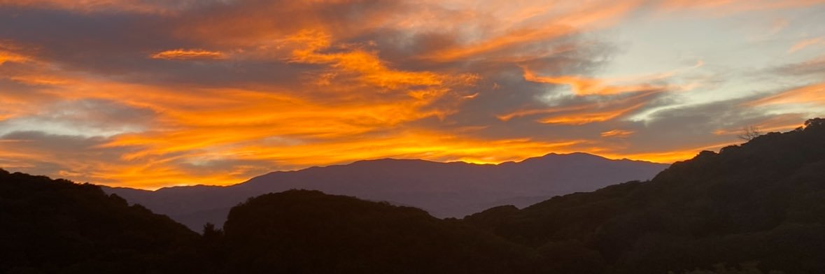 valedinella's profile banner image