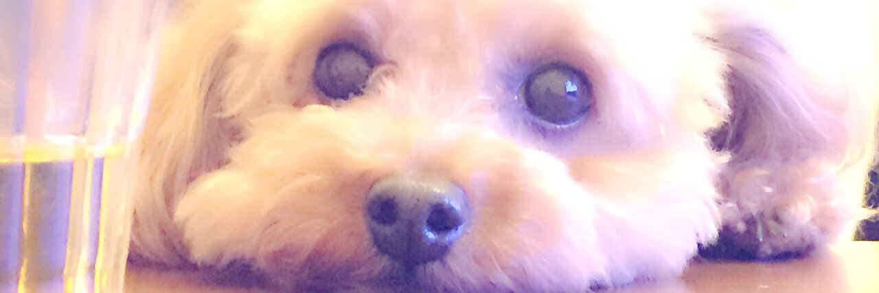 s25220918's profile banner image