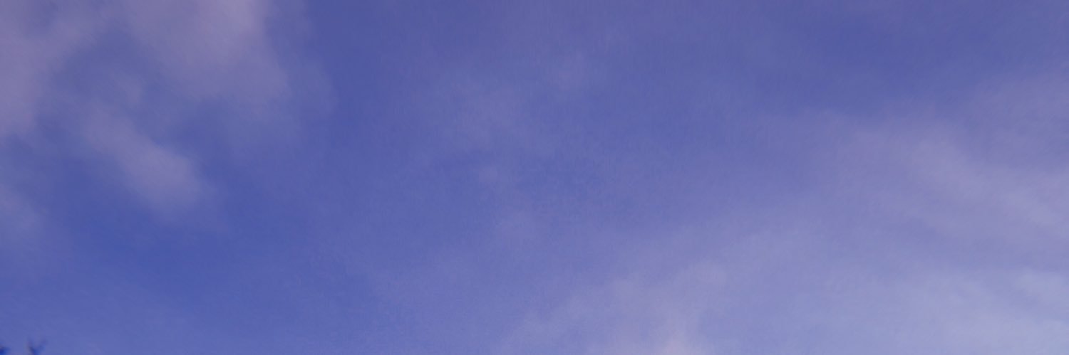 bethrichardson_'s profile banner image