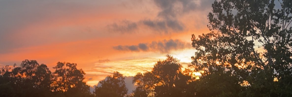 markus_molly1's profile banner image