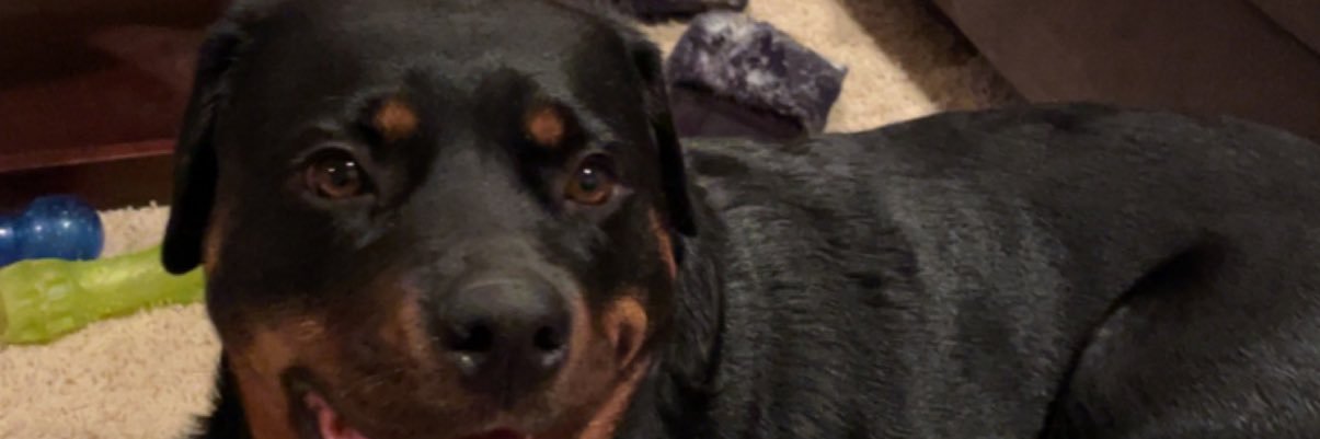 Desiree 💕 banner