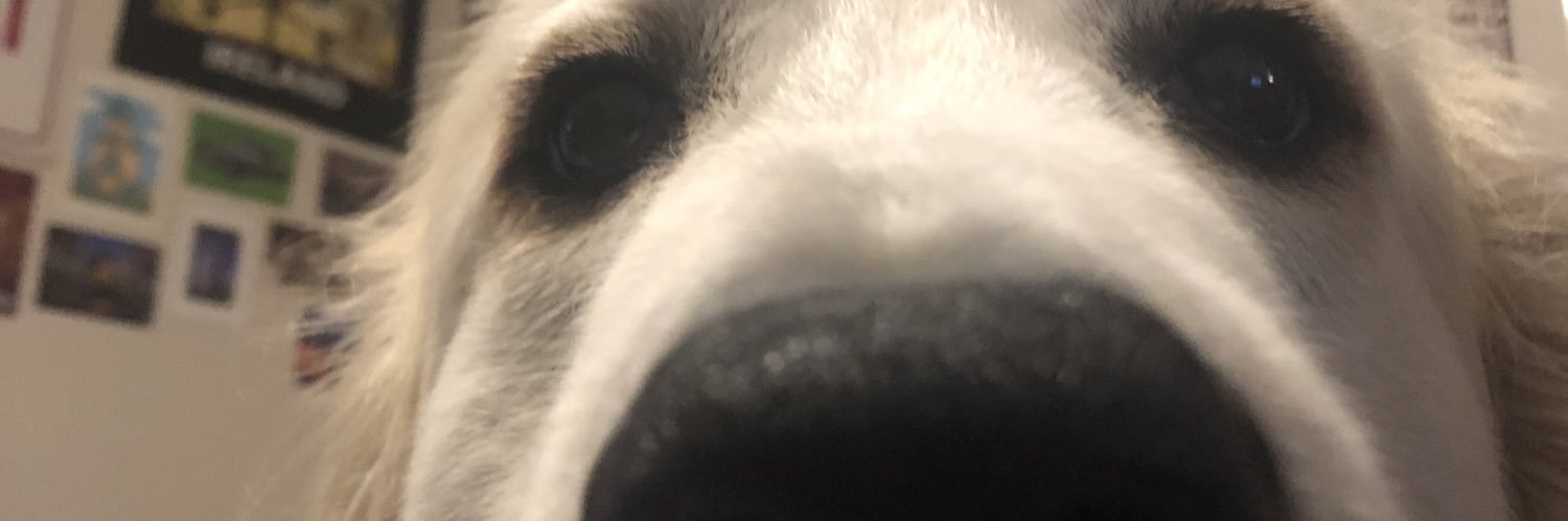 There is a Pandemic Going on Today banner