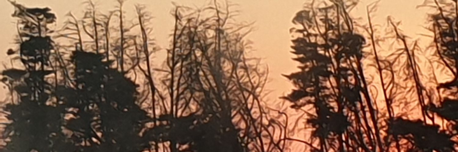 trigger_sam's profile banner image