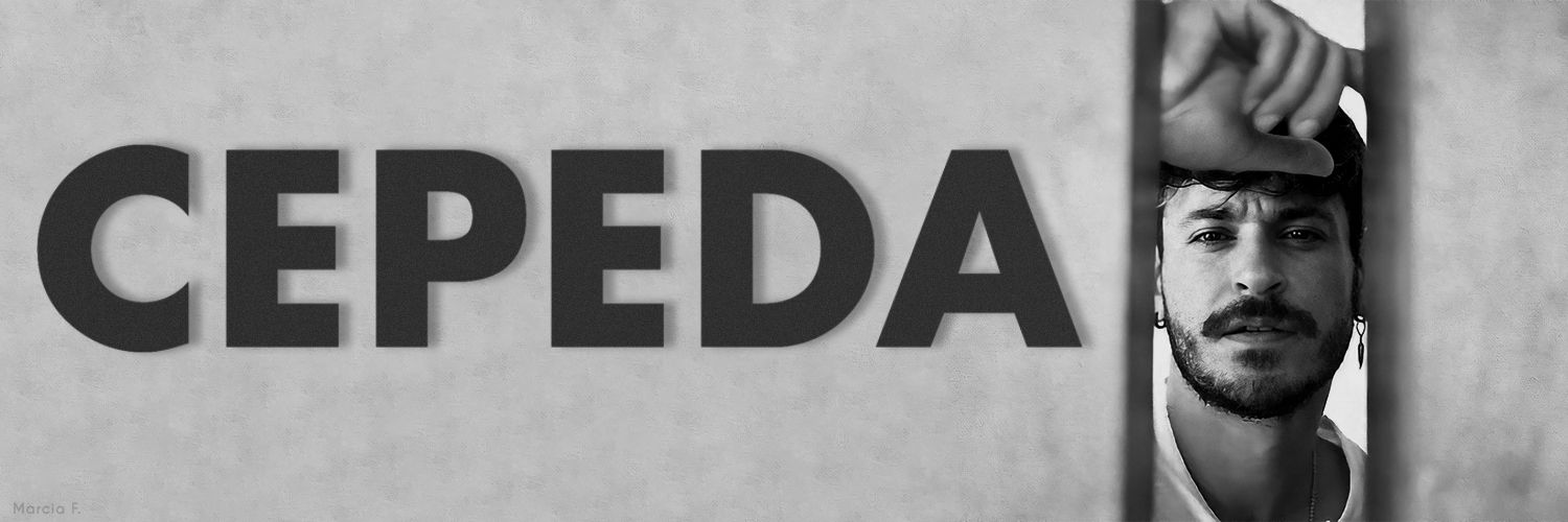 PidemeV's profile banner image