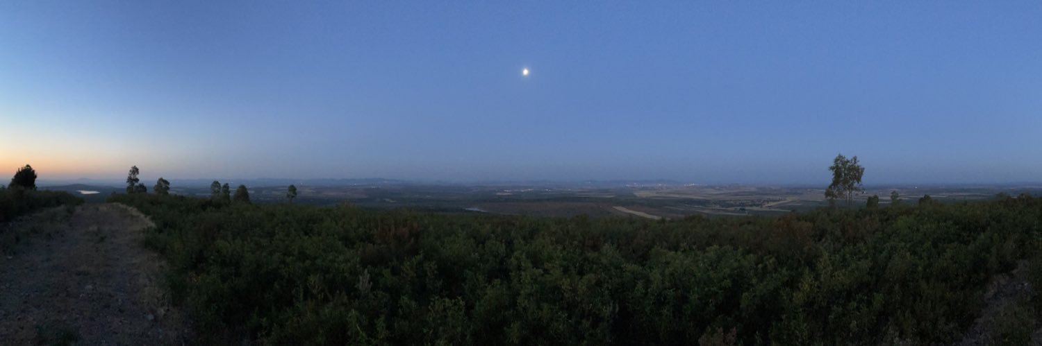 Rafa España 🇪🇸 🌹 banner