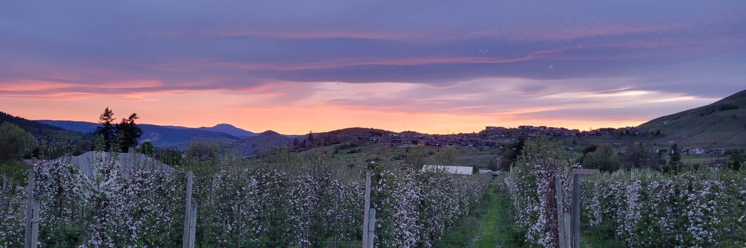 Robyn Rolke she/her banner