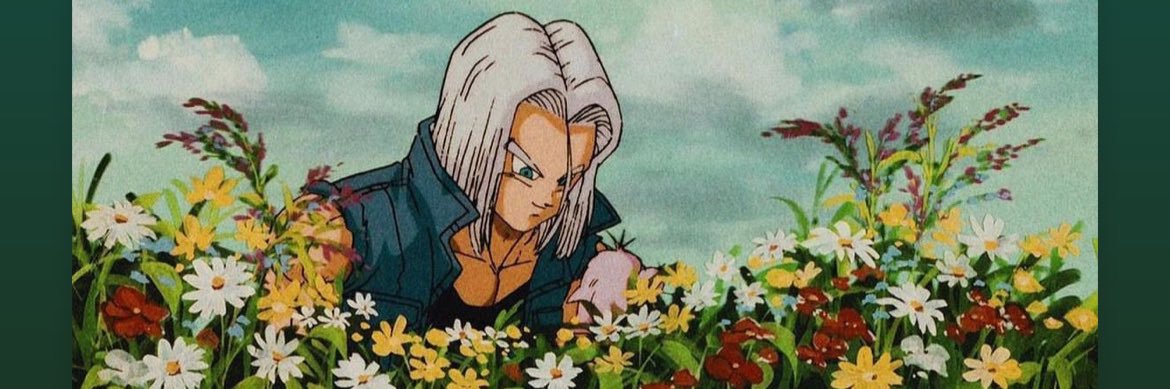 rakafelipe's profile banner image