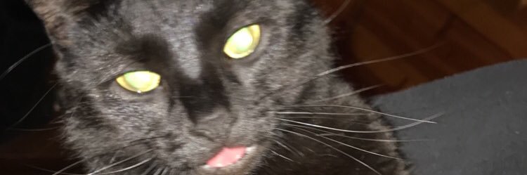 bgonteski's profile banner image