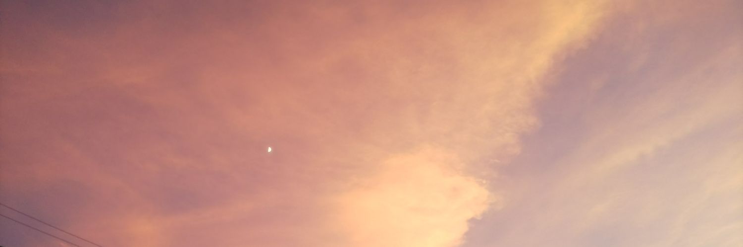 ごまちょ banner