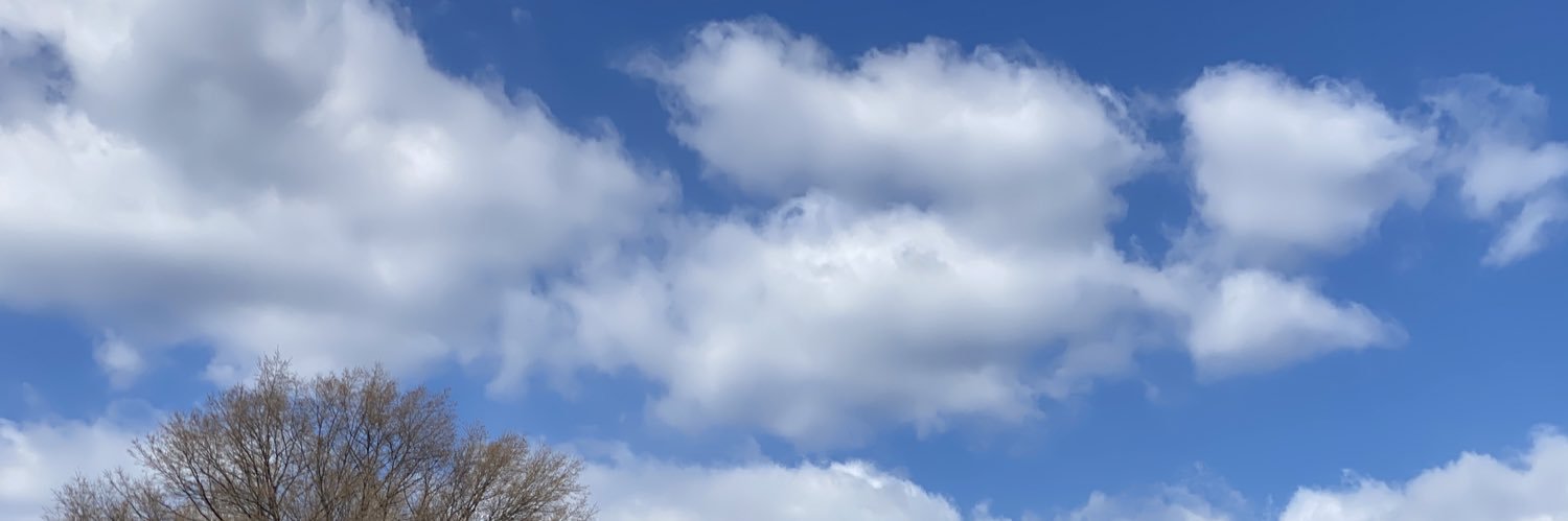 WithLove ❤️🌱⬆️ banner