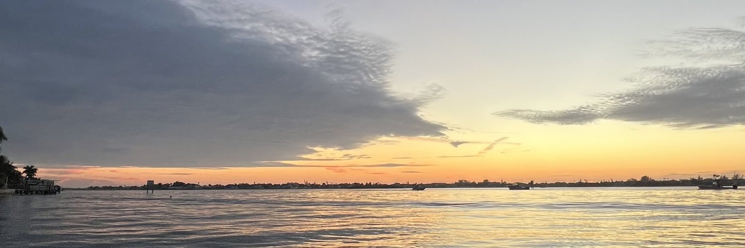 snakecereal's profile banner image