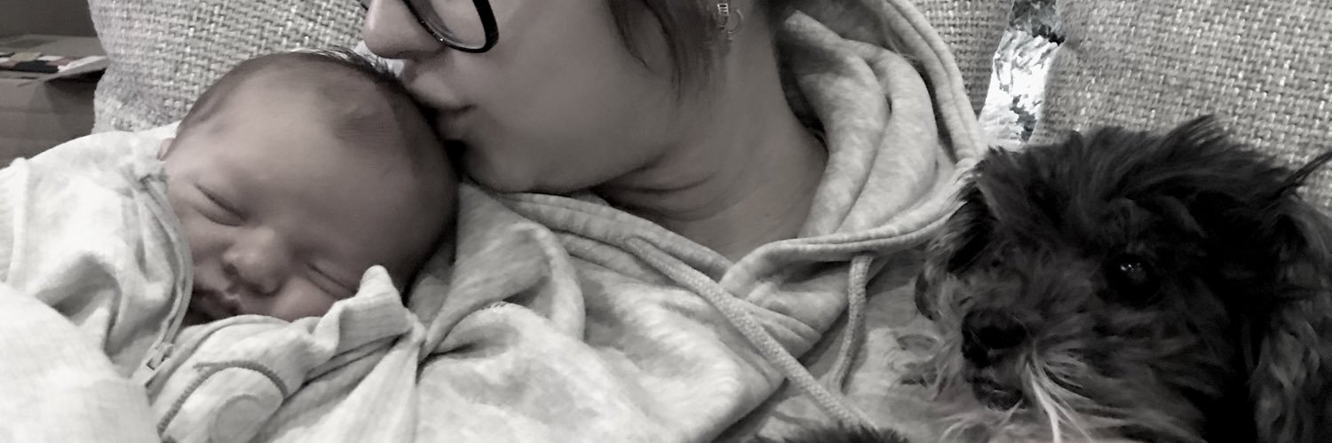 dcsss_'s profile banner image