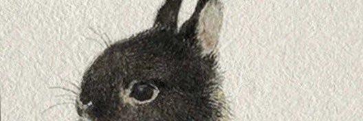 AmableOveja's profile banner image