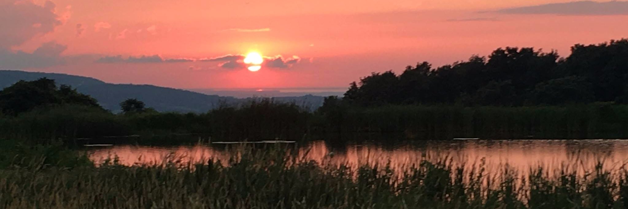 Oneida Dispatch banner