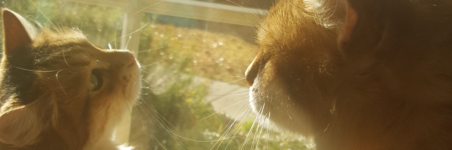 handurha's profile banner image