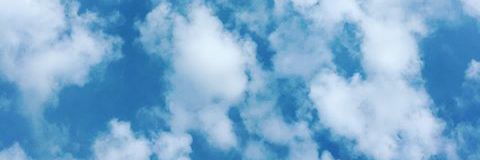 Eve_Hamid's profile banner image