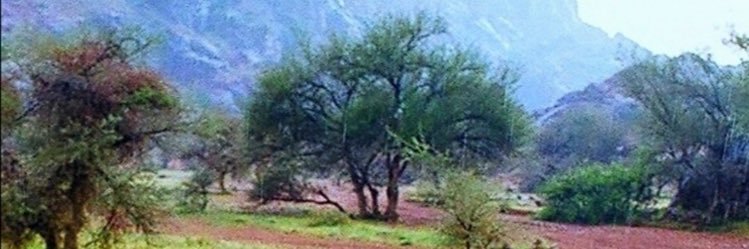 metoo7758's profile banner image
