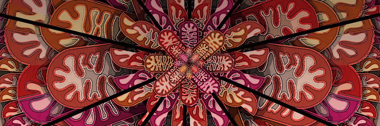Blood Cancer Discovery's banner