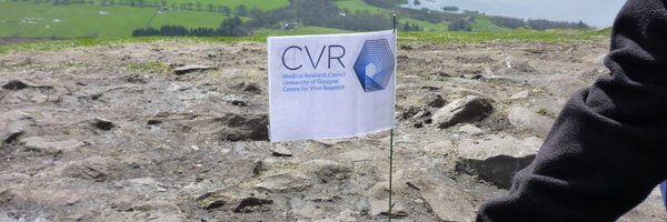 CVR_Genomics Profile Banner