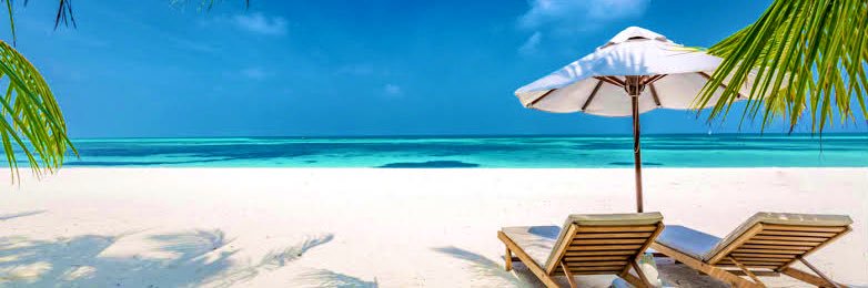 Irene Eri🐹 banner