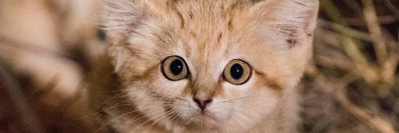 ME_RI_AM's profile banner image