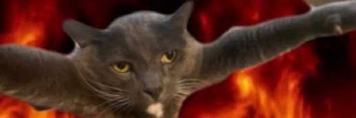 Jared (Entropy Pro) banner