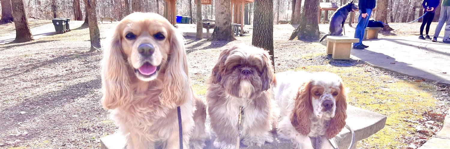 ✡️A. Jay Wasserman 🇺🇸 banner