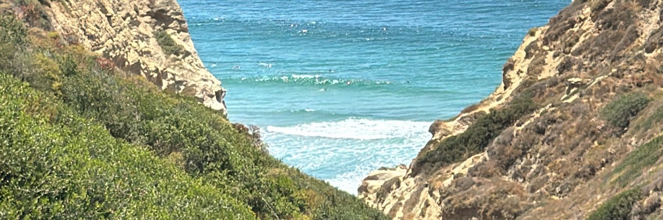 samueljacobsceo's profile banner image
