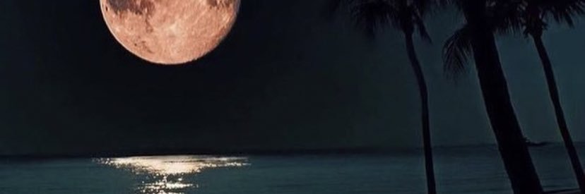 alwayssadele's profile banner image