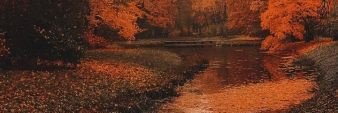 nat banner