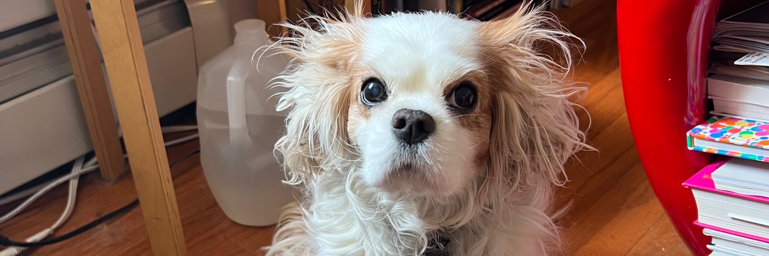 Alexandra Hildreth banner