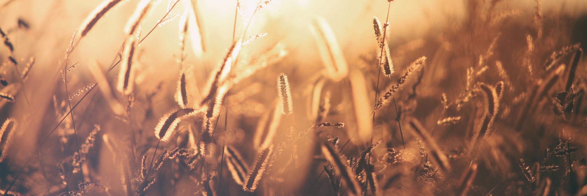 HarvestSound's profile banner image