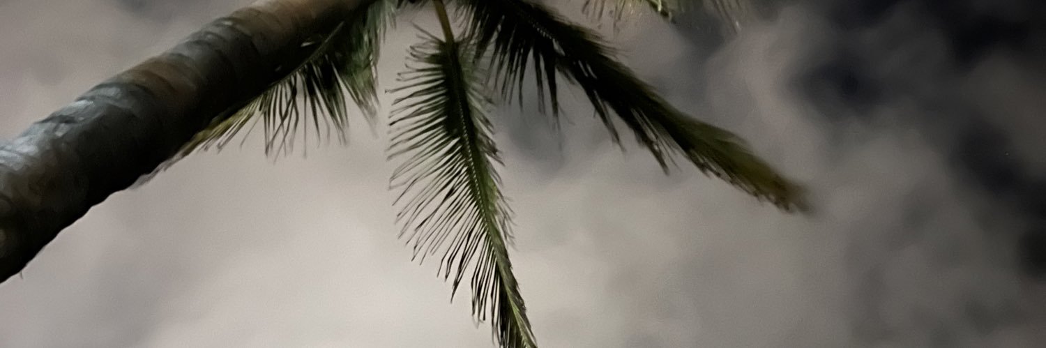 dianadelreydc's profile banner image