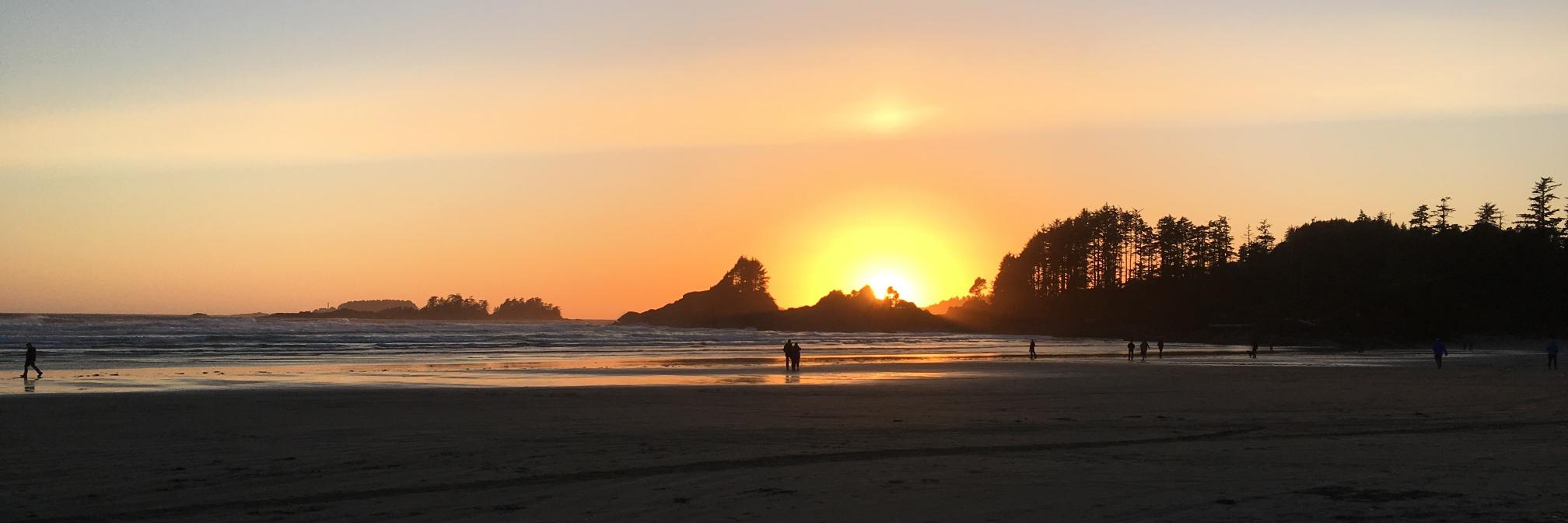 Marie-Anne Durham banner