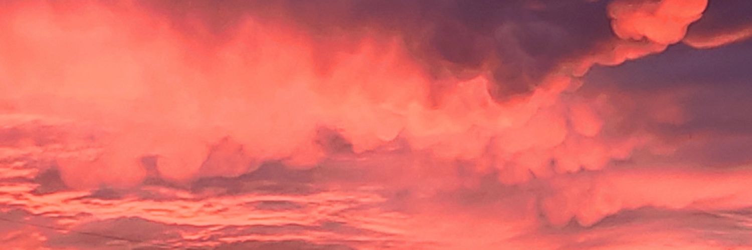 wsbeerse's profile banner image