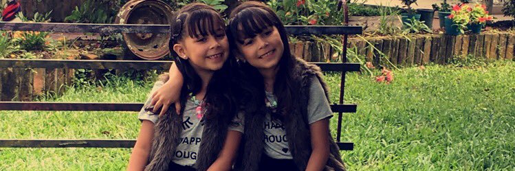 Dani🐼 banner