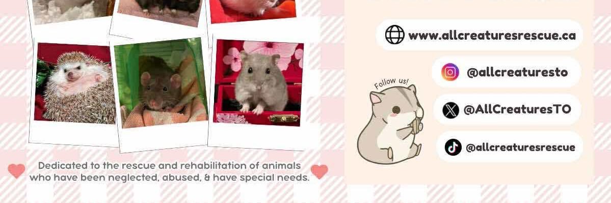 All Creatures Rescue banner