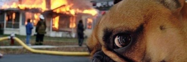 jackt1_'s profile banner image