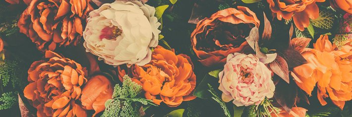 andrecomediante's profile banner image