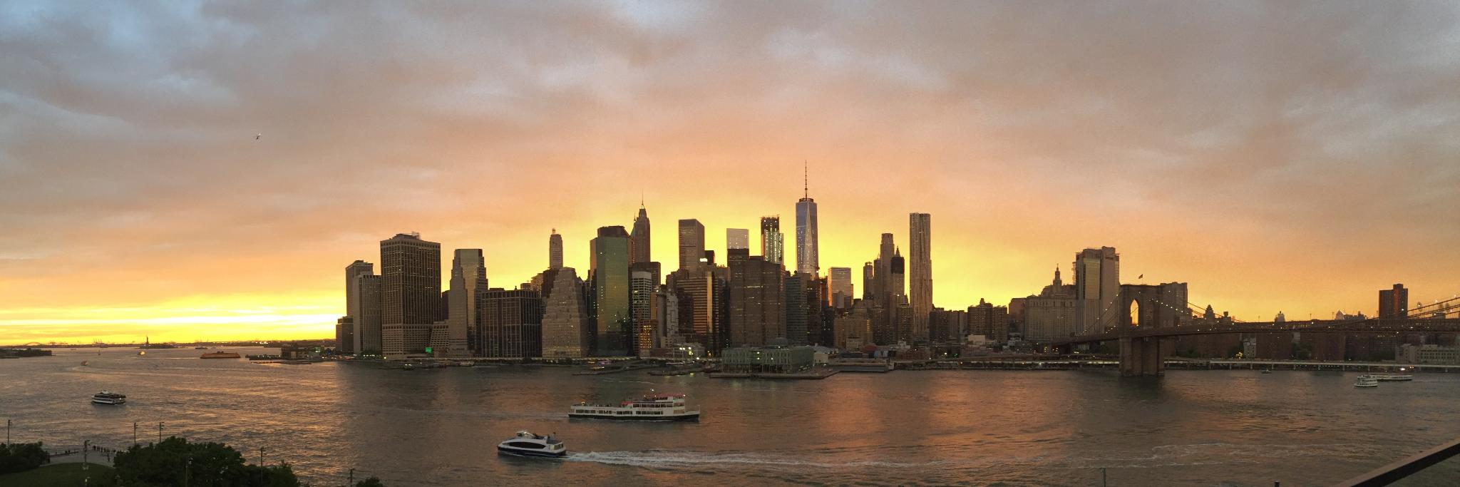 Kristina Zdanys MD banner