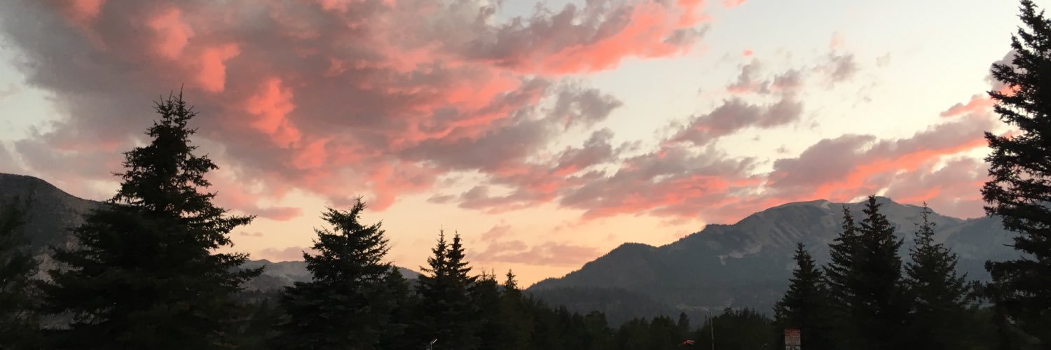 avazian's profile banner image