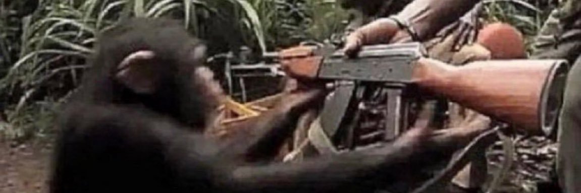 4 steaks proteine banner