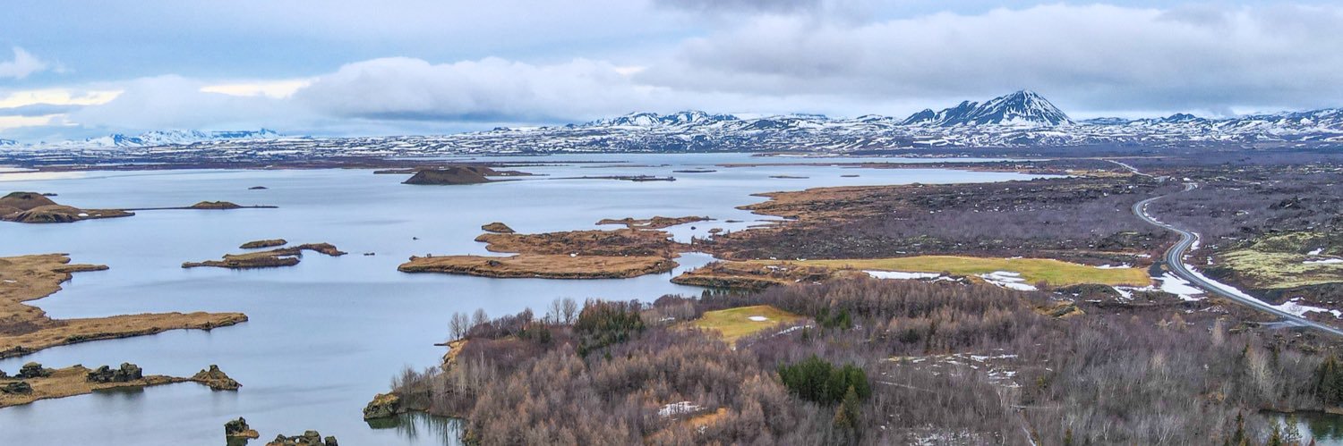 𝙟𝙤𝙚 🐝 banner