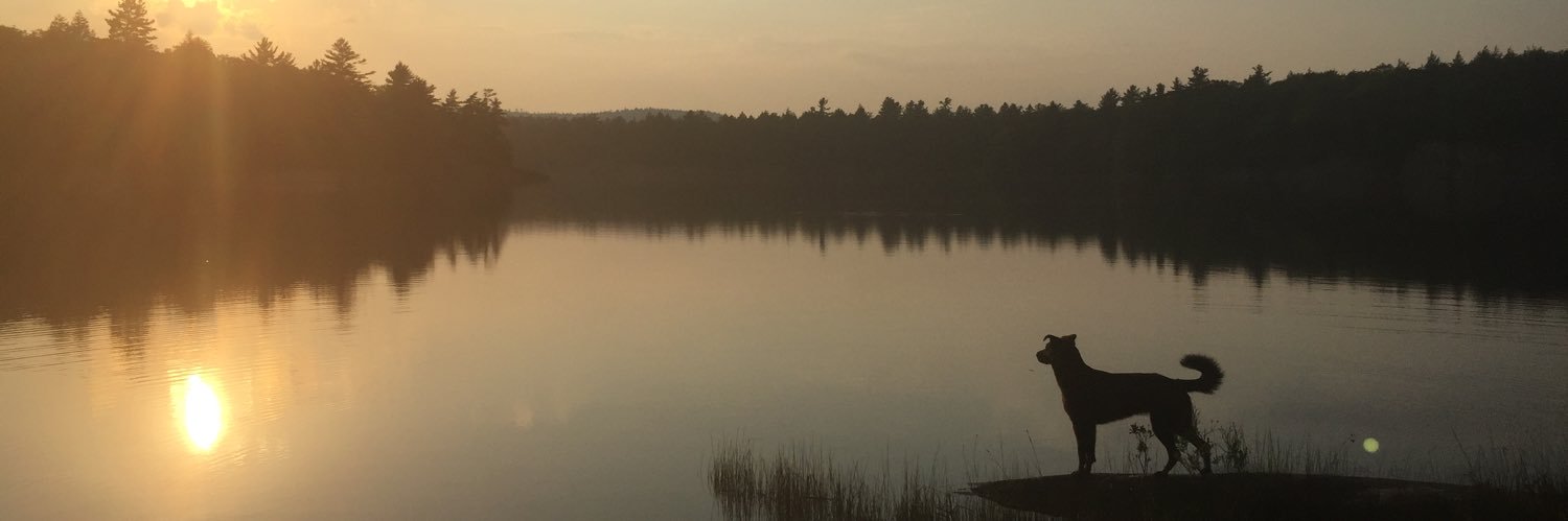haywirejackson banner