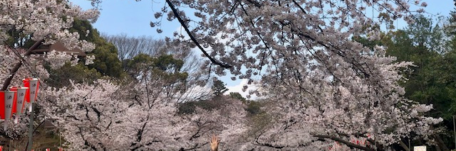 P様 banner