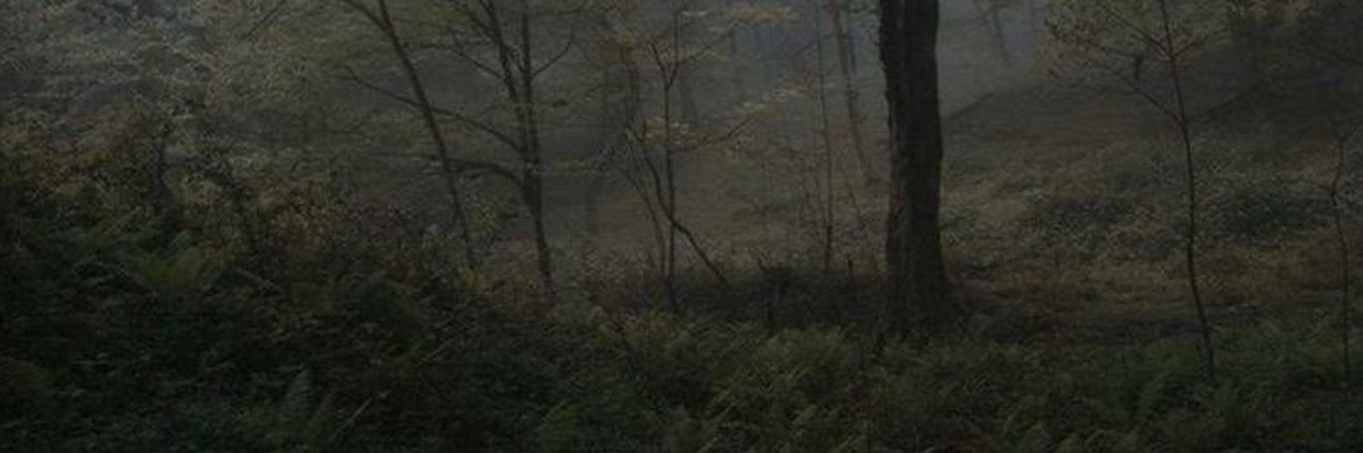 winnterfells's profile banner image