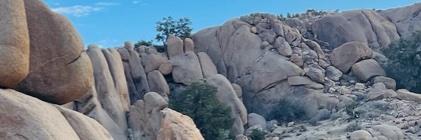 MelisAmber's profile banner image