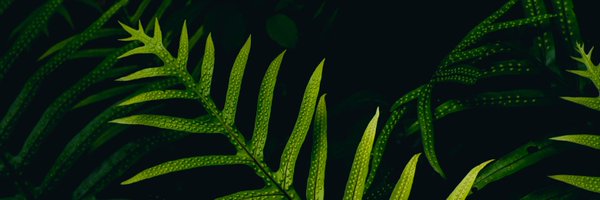 abby_benkert Profile Banner