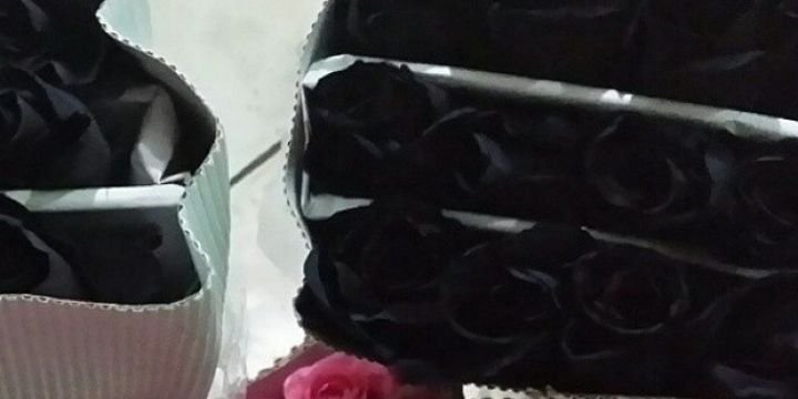 Roaii07's profile banner image