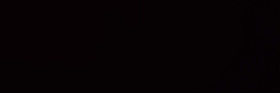 MFHMZ banner